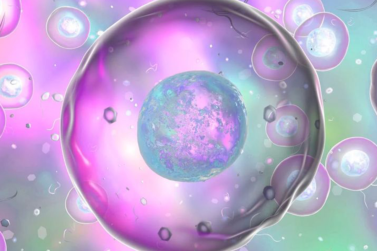medicina regenerativa endocrinología terapias 02