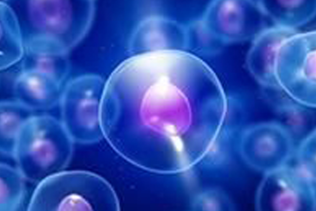 medicina regenerativa endocrinología terapias 03