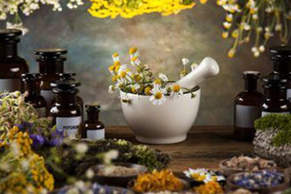 Plantas medicinales en la Nutrición y Naturoterapia 01